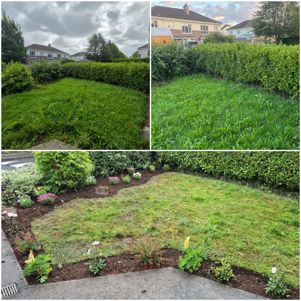 Three photos: an overgrown lawn beside a laurel hedge, then the same lawn cut with a new planted border