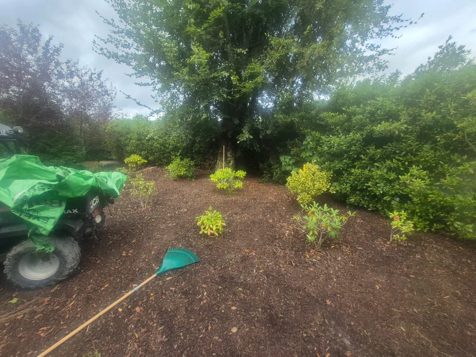 Large bed of dark bark mulch planted with young shrubs under mature trees, with a covered quad bike and rake